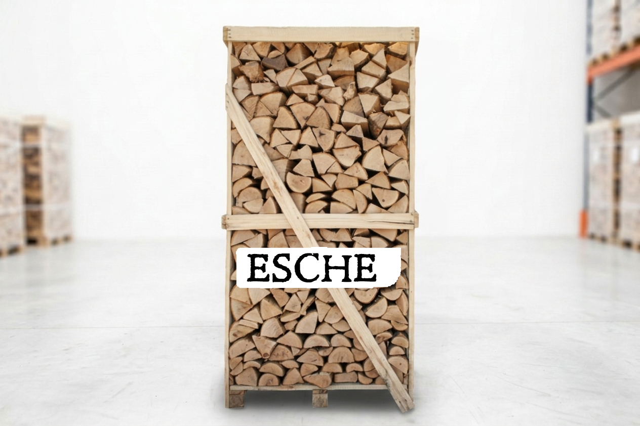 1RMLabelEsche_1_8_bb681748-7da1-42db-98db-ad05235d17b8.png Brennholz Palette – Esche – 25 cm – kammergetrocknet – 1,8 RM – Bild 1