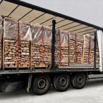LKW-Ladung Brennholz – Buche – 25 cm – kammergetrocknet – 1,8 RM Paletten